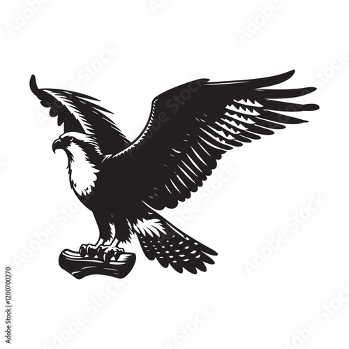 Osprey bird Silhouette Vector Illustration, Solid White Background.
