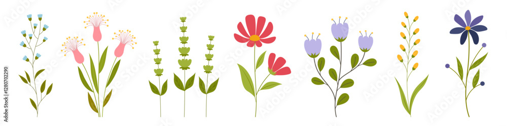 Naklejka premium Botanical set of wild and garden flowers. Сute spring flowers and leaves in flat style. Blooming season. Hand drawn floral elements. Vector illustration for greeting card, poster, banner, textile.