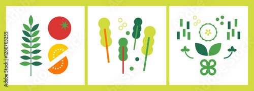 Set of 3 square abstract flat vector illustration with green veggies. Fresh vegetables. Salad. Greens icon set. Food background for poster, banner, cover design, print. Go vegan. Healthy food concept