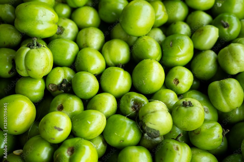Green, unripe tomatoes displayed fresh, showcasing their smooth texture and vibrant color, ready to ripen Green, unripe tomatoes displayed fresh, showcasing their smooth texture and vibrant color, ready to ripen