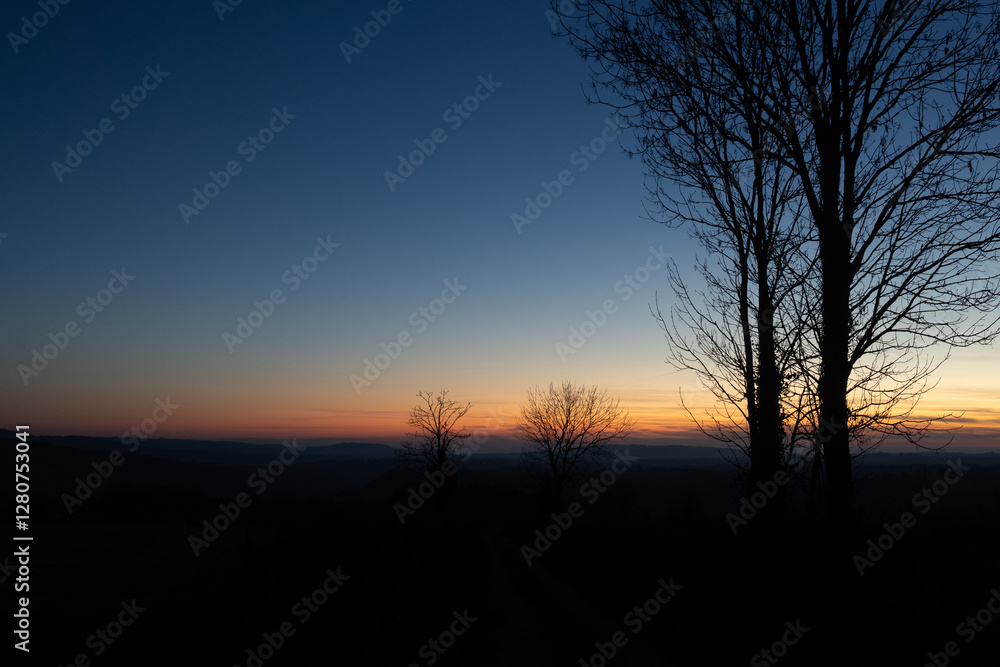 sunset in the forest sunset in the forest