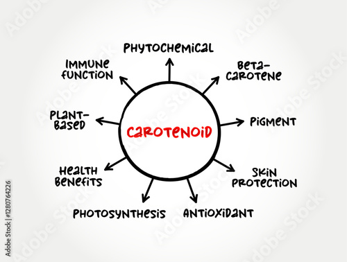 Carotenoid - tetraterpene pigments, which exhibit yellow, orange, red and purple colors, mind map text concept background