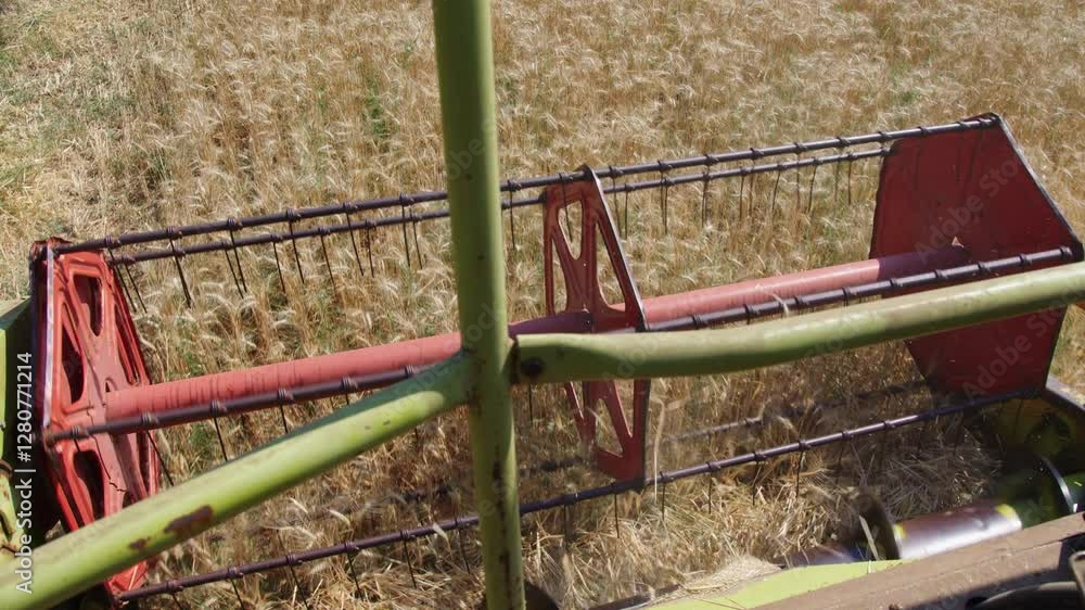 A combine harvester efficiently gathers ripe wheat in an expansive field. Golden grains cascade as the machine works under clear blue skies in the summer sunlight. A combine harvester efficiently gathers ripe wheat in an expansive field. Golden grains cascade as the machine works under clear blue skies in the summer sunlight.