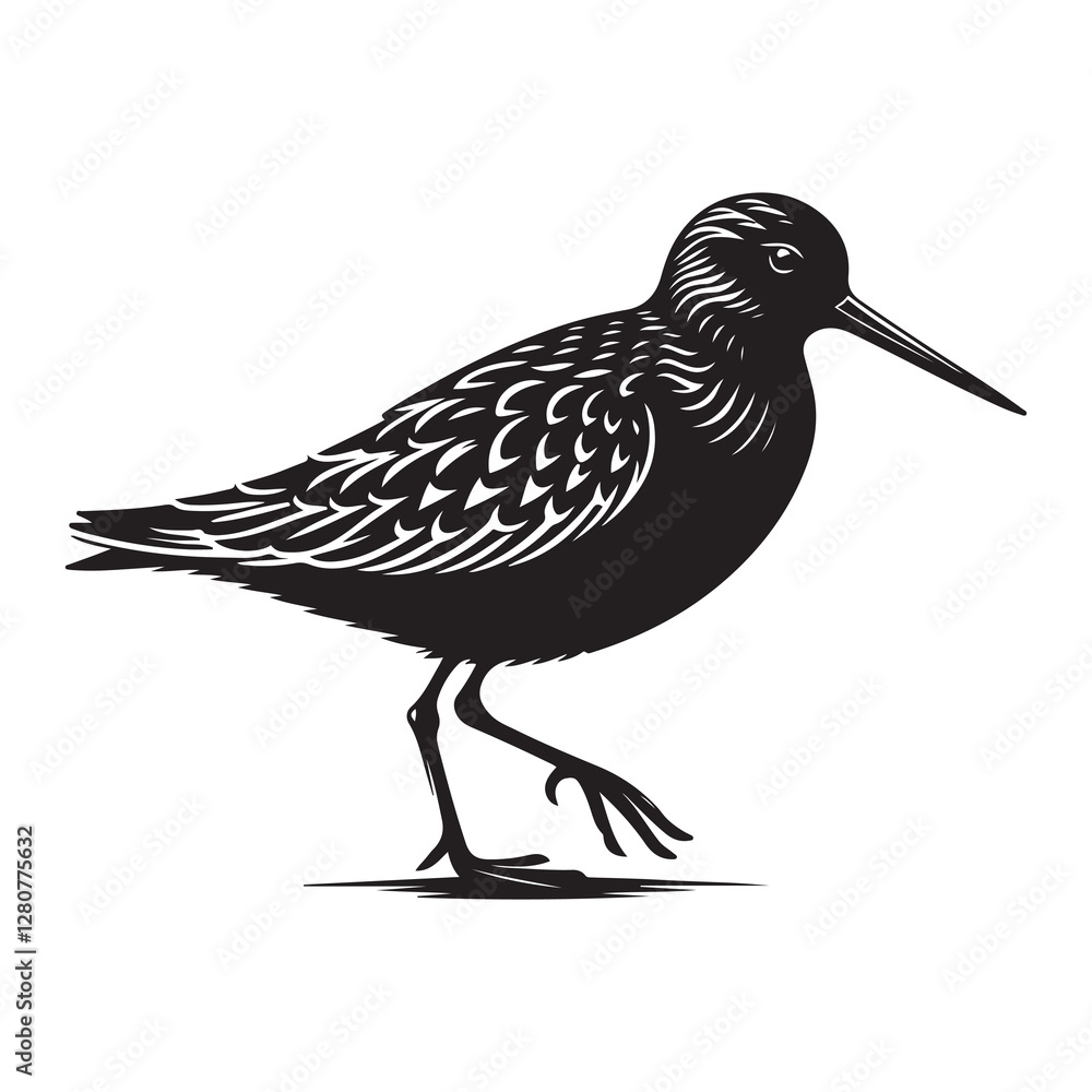 Obraz premium Sandpiper bird Silhouette Vector Illustration, Solid White Background.