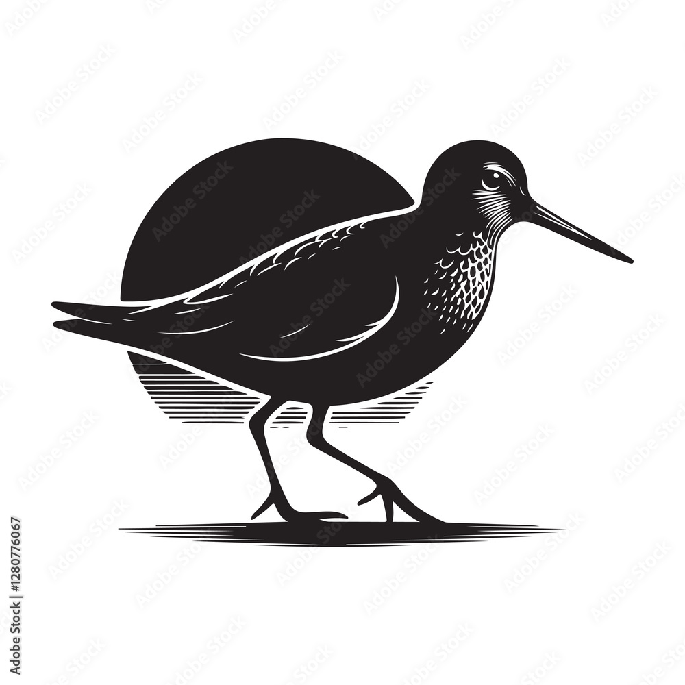 Obraz premium Sandpiper bird Silhouette Vector Illustration, Solid White Background.