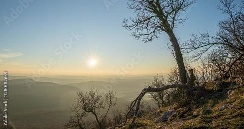 Witness the mesmerizing beauty of a sunset timelapse featuring a large, striking tree in the foreground and an endless rolling hills landscape in the background.