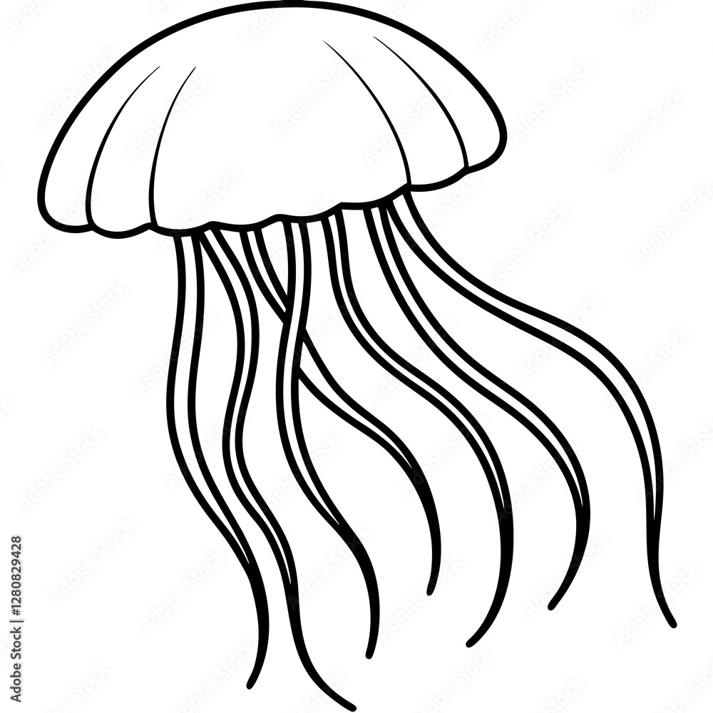 Jellyfish Line Art Vector Jellyfish Line Art Vector