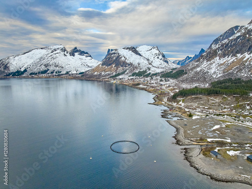 aerial winter landscape of ...