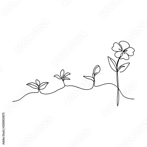 SingleLine Drawing Flower Growth Stages, Plant Life Cycle