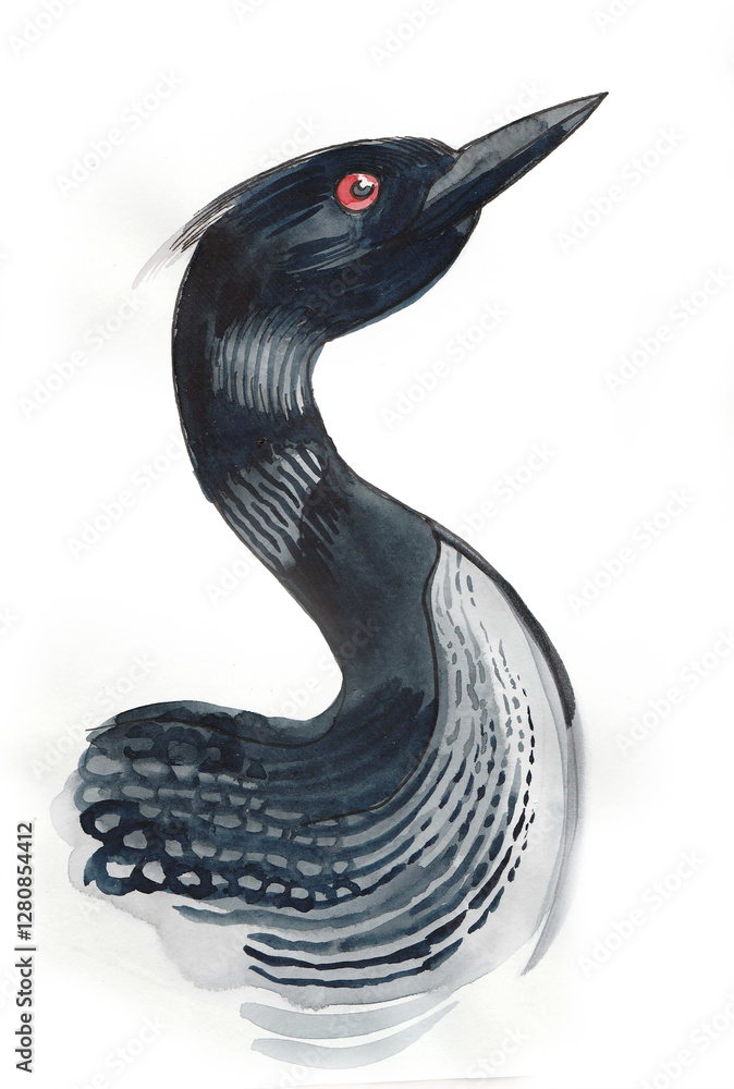 Naklejka premium Loonie duck. Hand drawn watercolour illustration