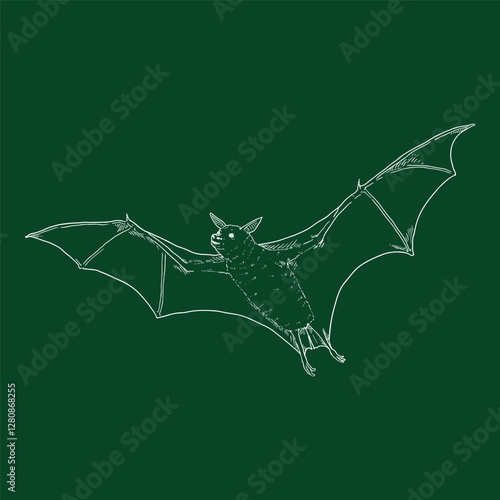 Vector Hand Drawn Sketch Bat Illustration