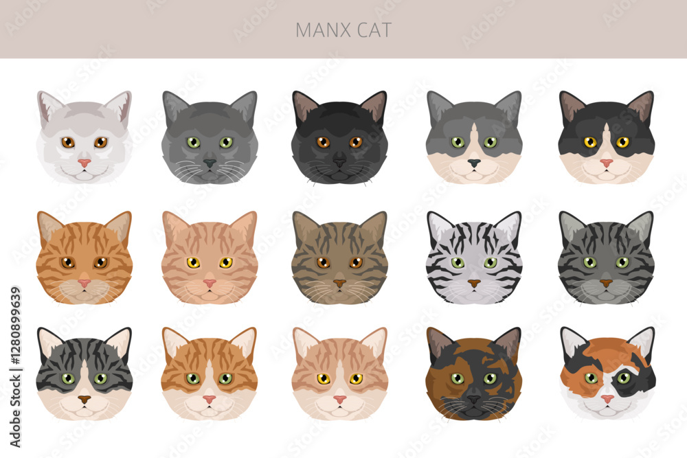 Manx Cat clipart. All coat colors set. All cat breeds characteristics infographic. Vector illustration Manx Cat clipart. All coat colors set. All cat breeds characteristics infographic. Vector illustration
