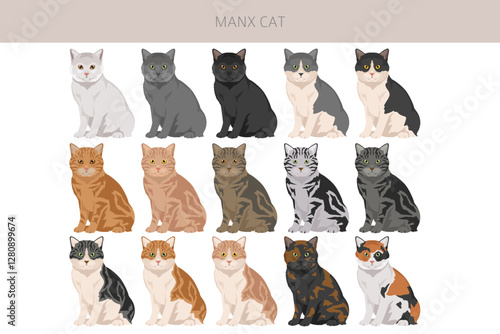 Manx Cat clipart. All coat colors set.  All cat breeds characteristics infographic. Vector illustration