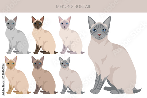 Mekong Bobtail Cat clipart. All coat colors set.  All cat breeds characteristics infographic. Vector illustration