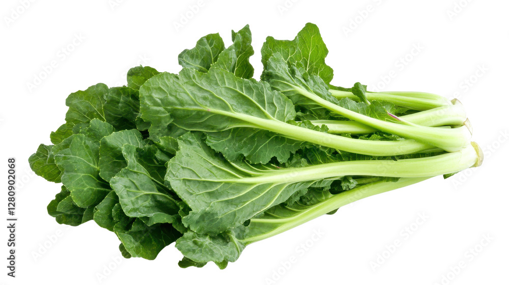 Fresh leafy greens, vibrant kale bundle with crisp texture, ideal for healthy recipes and nutritious meal preparation. Isolated on white background or PNG Fresh leafy greens, vibrant kale bundle with crisp texture, ideal for healthy recipes and nutritious meal preparation. Isolated on white background or PNG