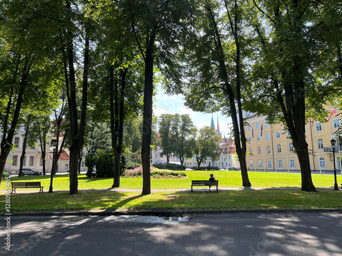 Obraz na płótnie Park in the old town of Riga w salonie