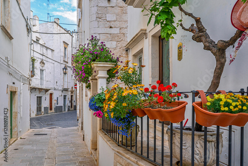 Canvas Print The Martina Franca City street view in Italy