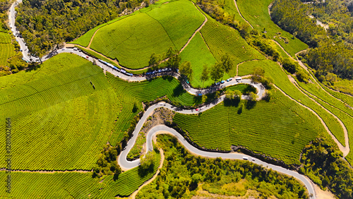 Photography Mesmerizing Drone Capture of Munnar’s Curvy Roads Amidst Tea Gardens