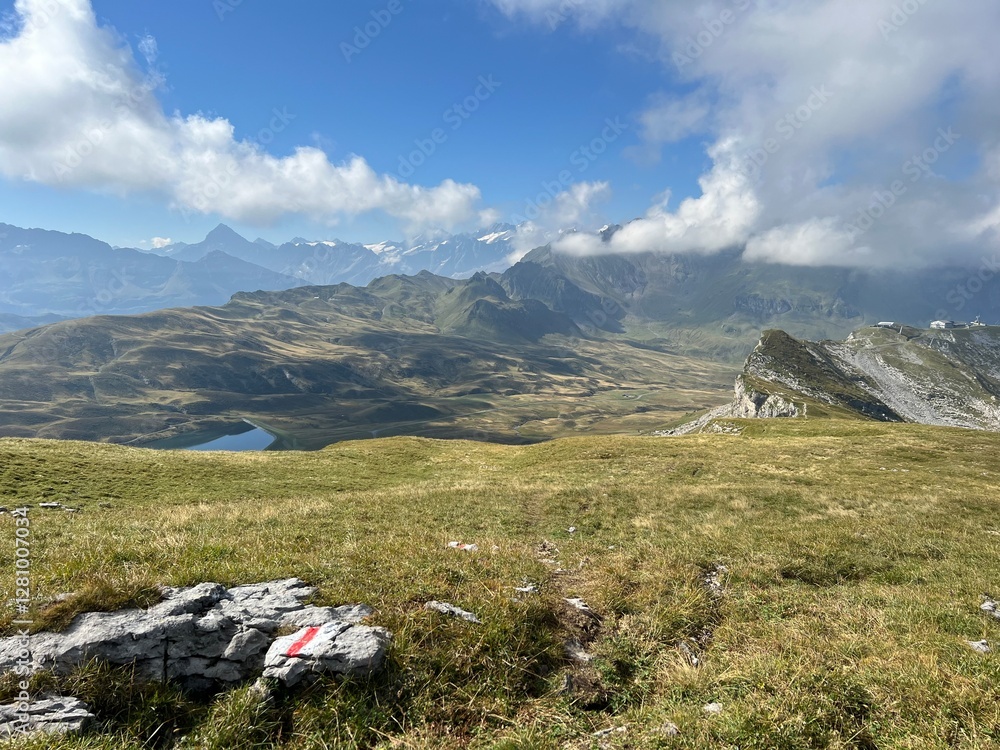 Fototapeta premium Alpine meadows and pastures on the slopes of the Uri Alps mountain massif, Melchtal - Canton of Obwalden, Switzerland (Kanton Obwald, Schweiz)
