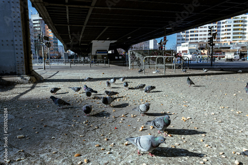 Berlin city pigeons being fed illegally, Kottbusser Tor, Berlin, Kreuzberg