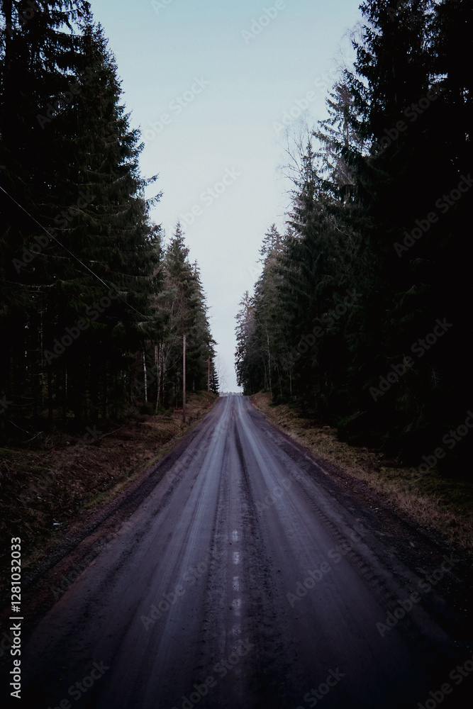 Fototapeta premium A country road through the forest