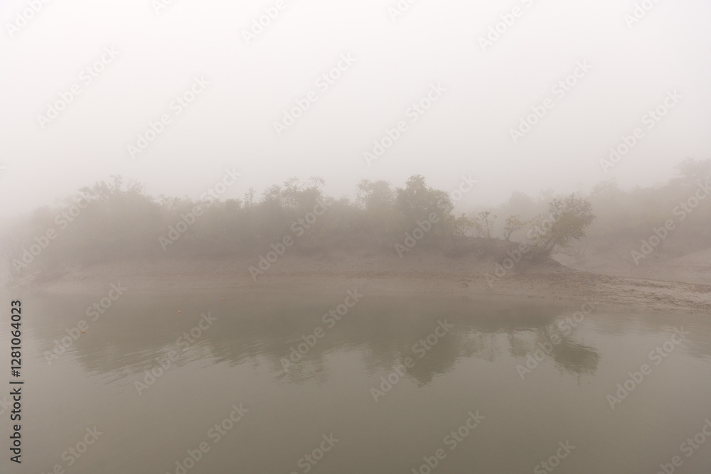 Fototapeta premium Mudflats and mangrove forest of Sundarban tiger reserve in a foggy morning, India