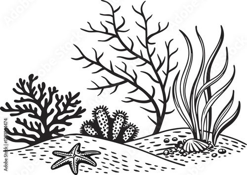 Angelfish in Coral Reef 