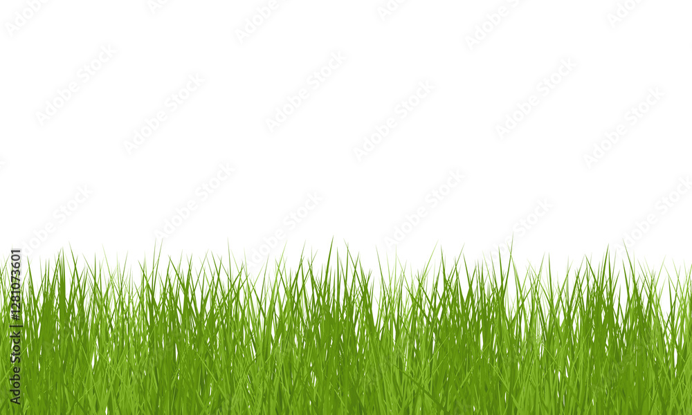 Png Green Grass border isolated on transparent background, vector illustration. Realistic green seamless grass. Grass png, lawn png. Stock royalty free Png Green Grass border isolated on transparent background, vector illustration. Realistic green seamless grass. Grass png, lawn png. Stock royalty free