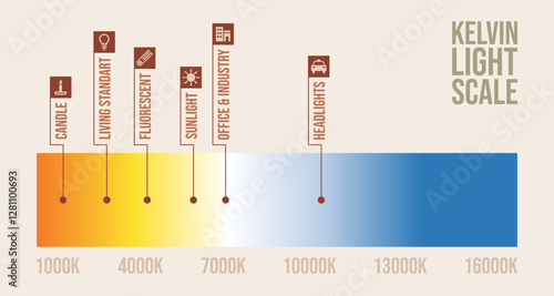 Kelvin light scale infographic vector. Each category is clearly labeled with corresponding color temperatures, transitioning from warm yellows to cool blues.