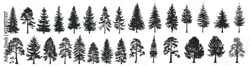 Vector woodland trees set, pine tree silhouettes, evergreen forest firs and spruces black shapes, wild nature trees templates, vector illustration, nature landscape, isolated on white background