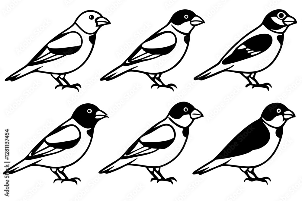 Fototapeta premium Elegant Finch Line Art Vector Collection