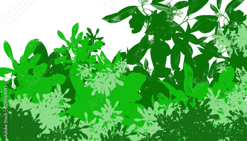 Wallpaper Mural Lush and green natural backdrop with tropical foliage, perfect for projects related to nature and health Torontodigital.ca