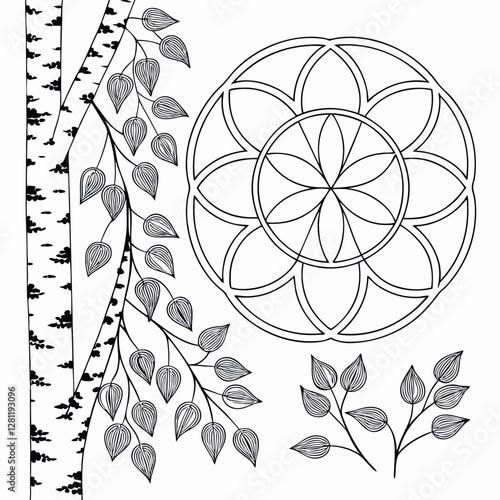 Birch Tree & Floral Mandala Coloring Page: Intricate Botanical Design for Relaxation & Creative Art Therapy, Printable Nature Illustration