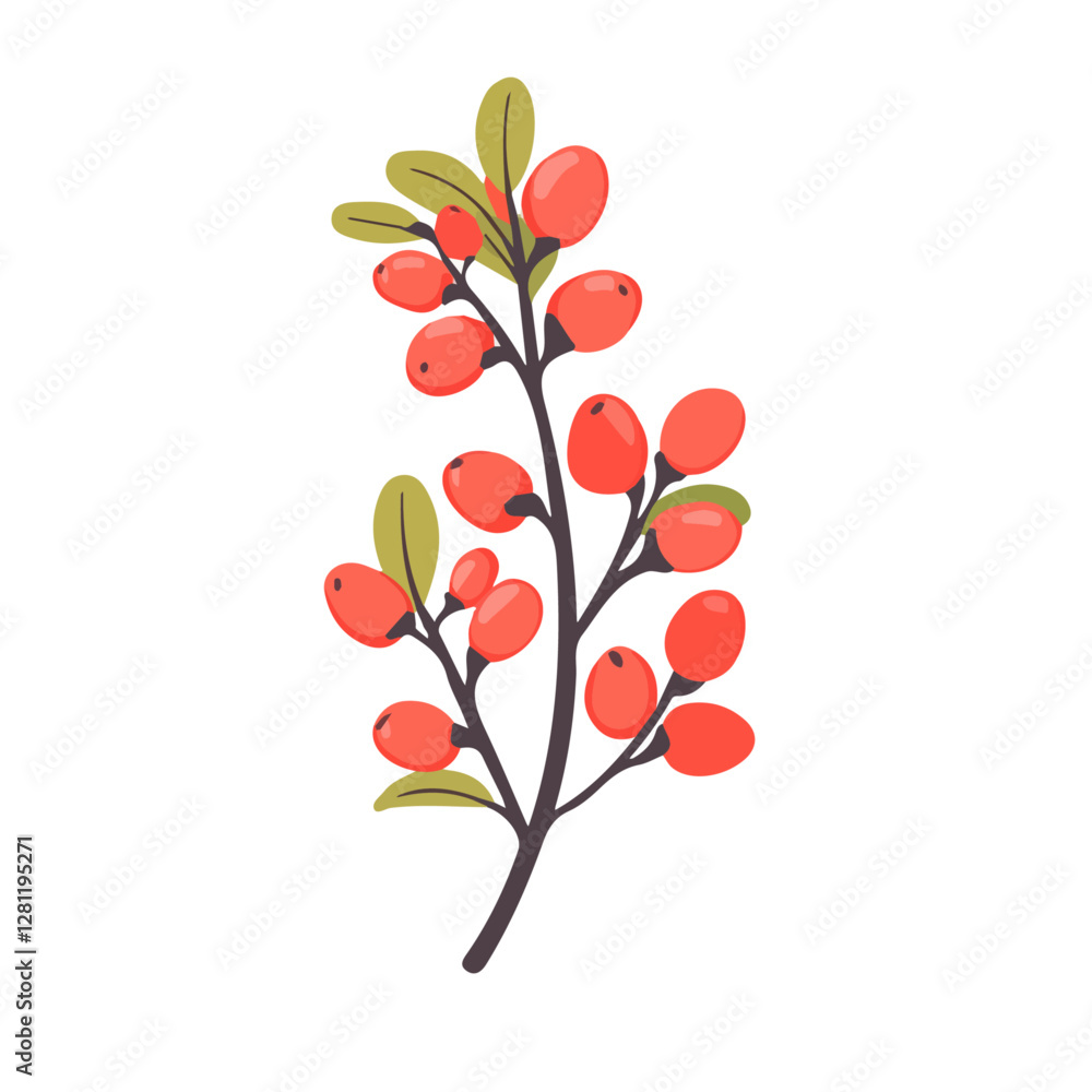 2D flat vector illustration Barberry icon isolated on a white background.
2D flat vector illustration Barberry icon isolated on a white background.