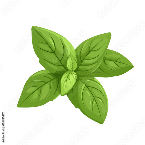 2D flat vector illustration Basil icon isolated on a white background.

