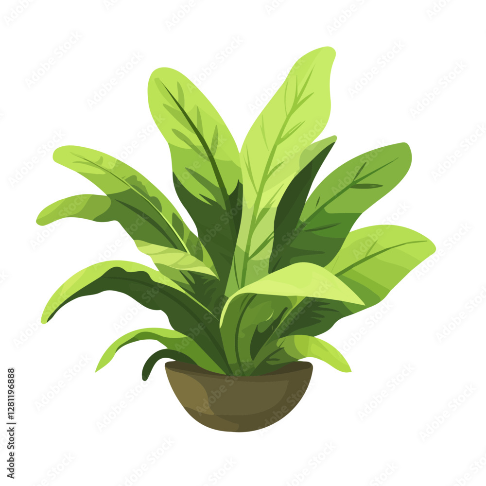2D flat vector illustration Bird's Nest Fern icon isolated on a white background.
2D flat vector illustration Bird's Nest Fern icon isolated on a white background.