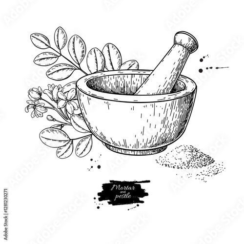 Moringa powder vector drawing. Grounded moringa, plant, flower, mortar and pestle sketch. Moringa Oleifera superfood