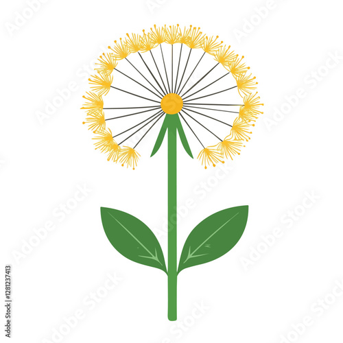 2D flat vector illustration Dandelion icon isolated on a white background.

