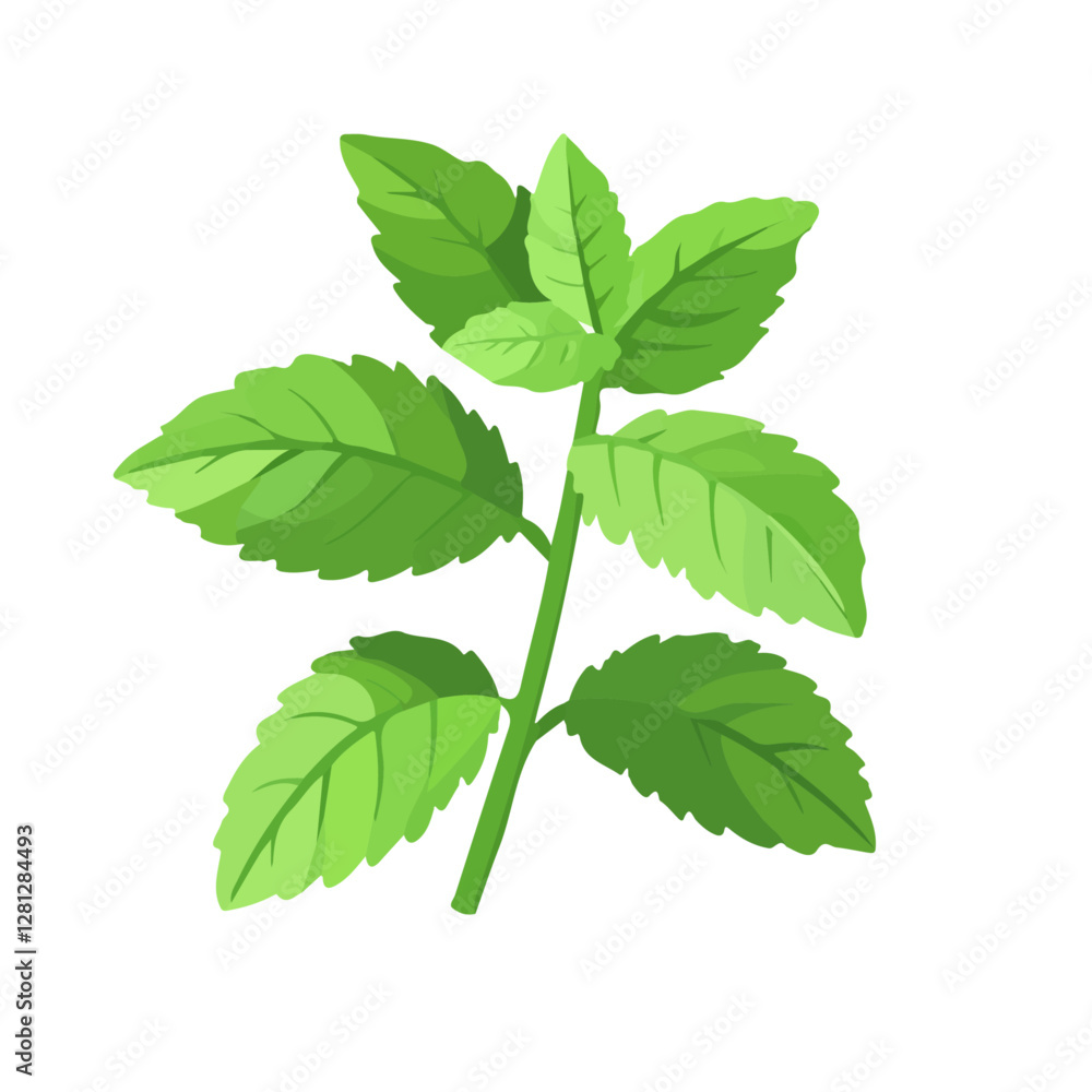 2D flat vector illustration Lemon Balm icon isolated on a white background.
2D flat vector illustration Lemon Balm icon isolated on a white background.