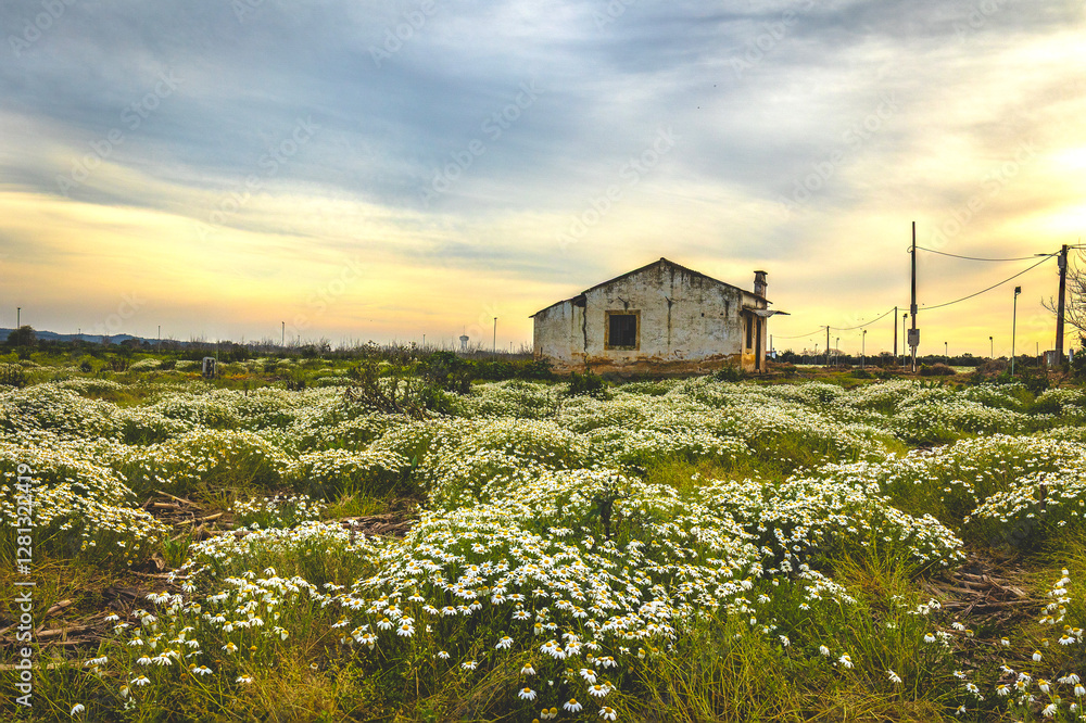 Old farm house on the prairies of Ribatejo - Portugal Old farm house on the prairies of Ribatejo - Portugal