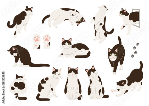 白黒猫の手描きイラストセット