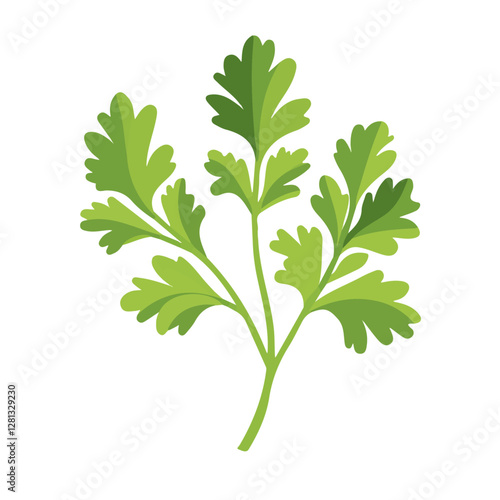 2D flat vector illustration Parsley icon isolated on a white background.

