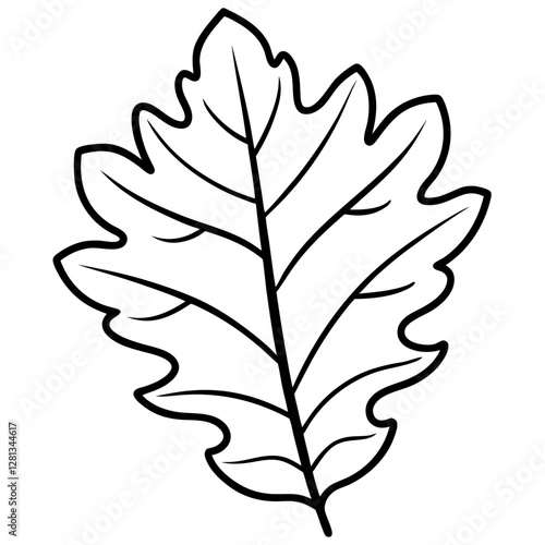 Oak leaf dried crisp edges, white background