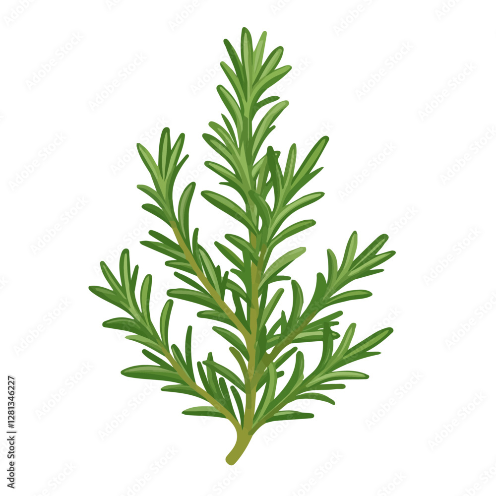 2D flat vector illustration Rosemary icon isolated on a white background.
2D flat vector illustration Rosemary icon isolated on a white background.