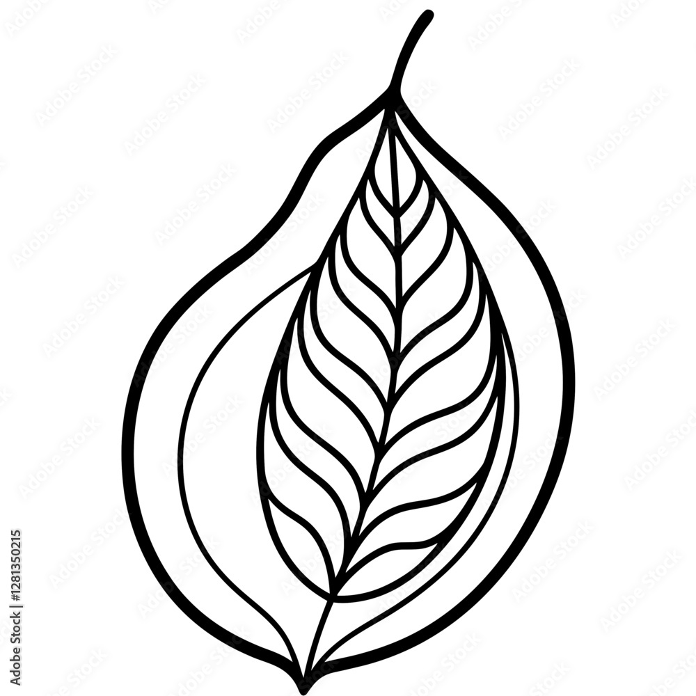 Guava leaf brown curled details, white background Guava leaf brown curled details, white background