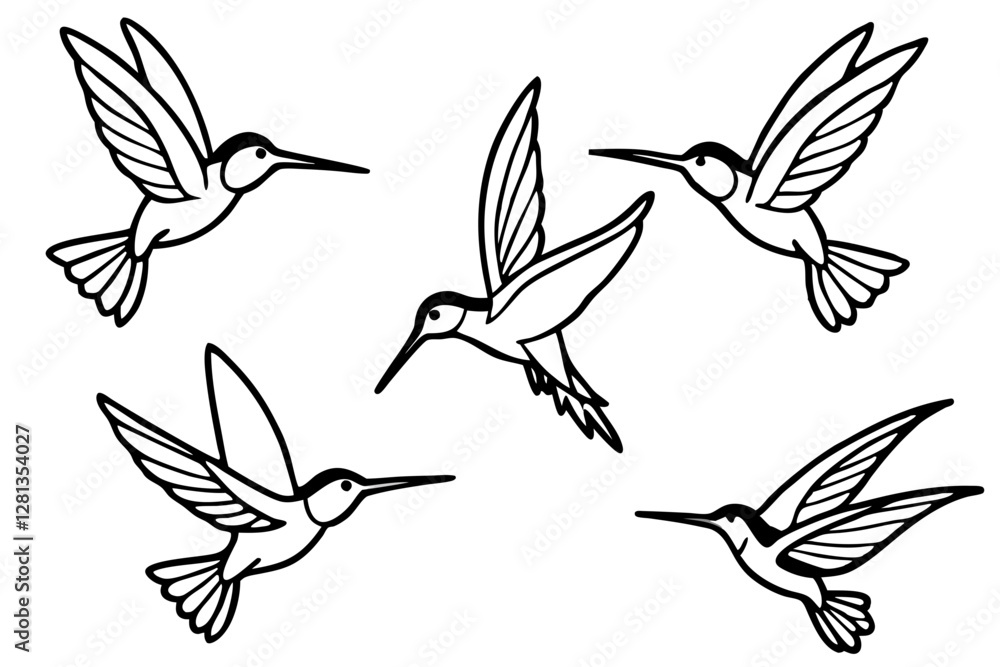 Obraz premium Elegant Hummingbird Vector Set