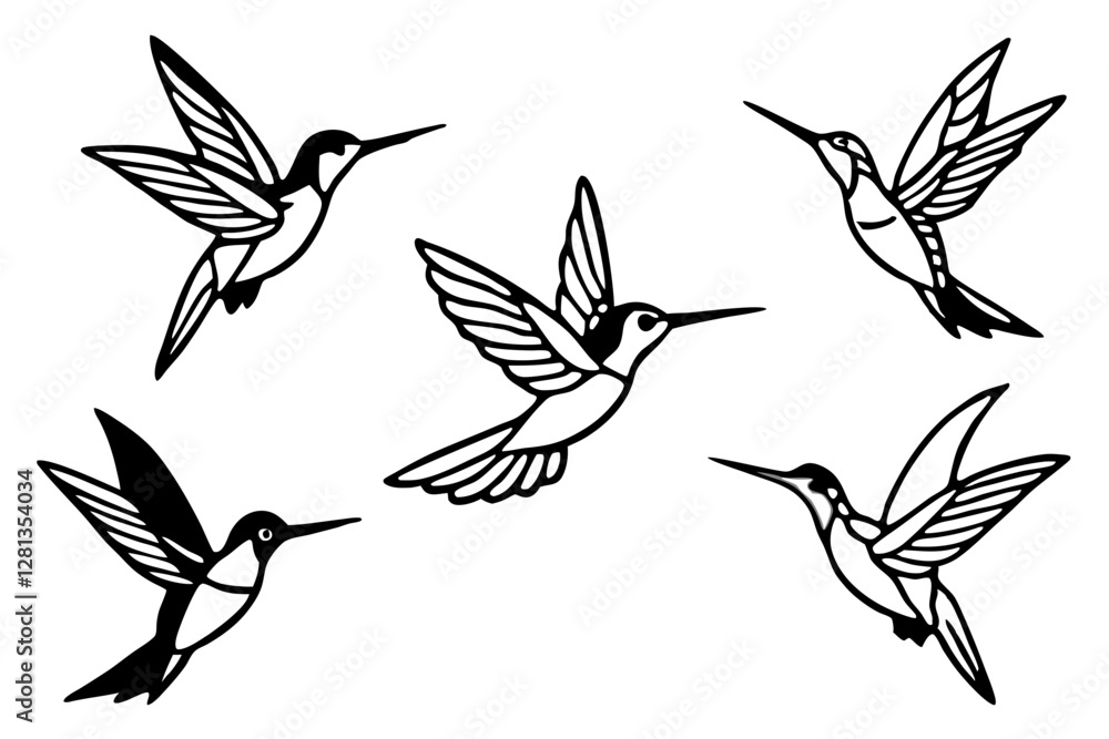 Fototapeta premium Elegant Hummingbird Vector Set