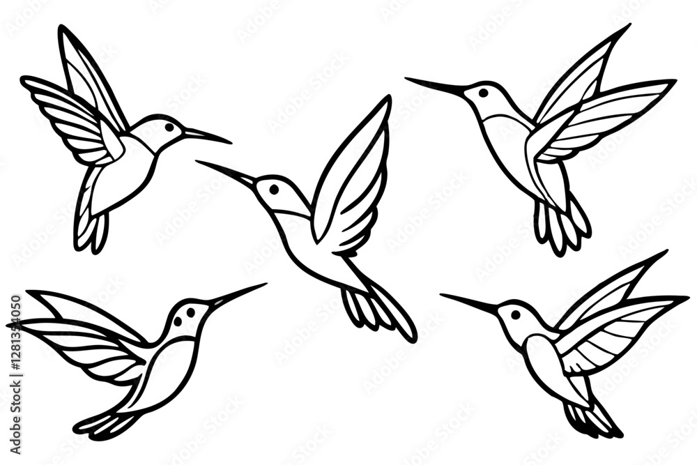 Obraz premium Elegant Hummingbird Vector Set