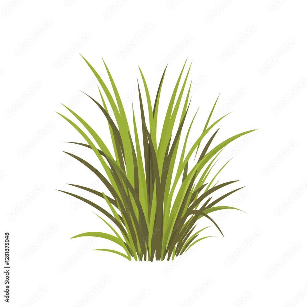 2D flat vector illustration Vetiver icon isolated on a white background.
2D flat vector illustration Vetiver icon isolated on a white background.