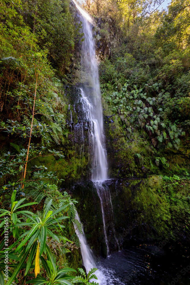 Obraz premium Waterfall along the way of the Levada do Caldeirao Verde hike on Madeira, Portugal.
